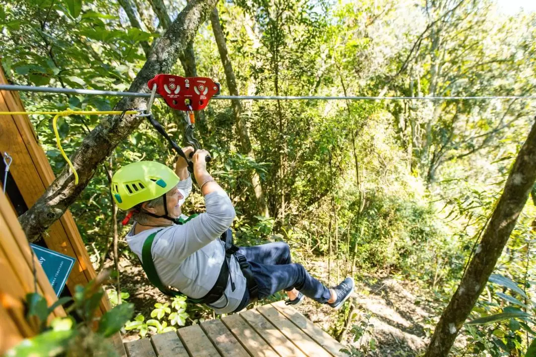 Okere Falls Zipline Experience in Rotorua