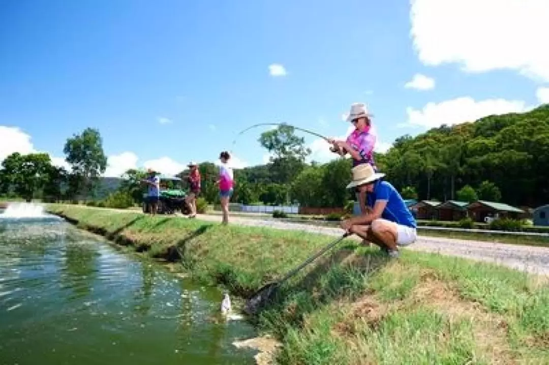 Barramundi Fishing and Farm Experience in Cairns