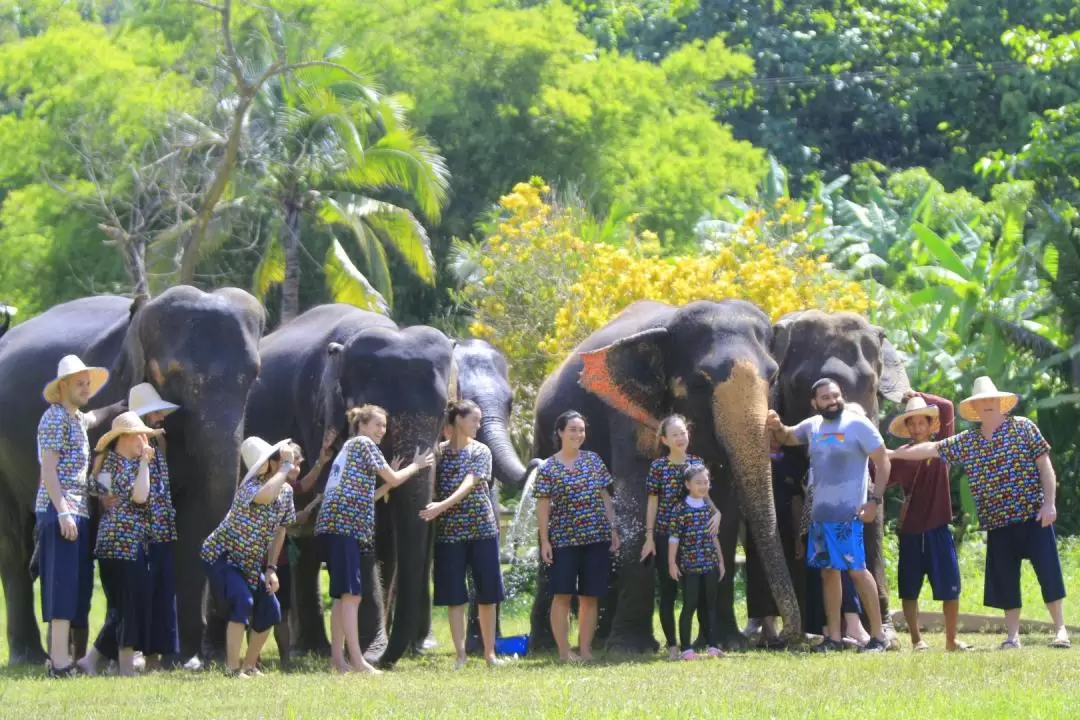 Kanta Elephant Half Day Tour from Chiang Mai