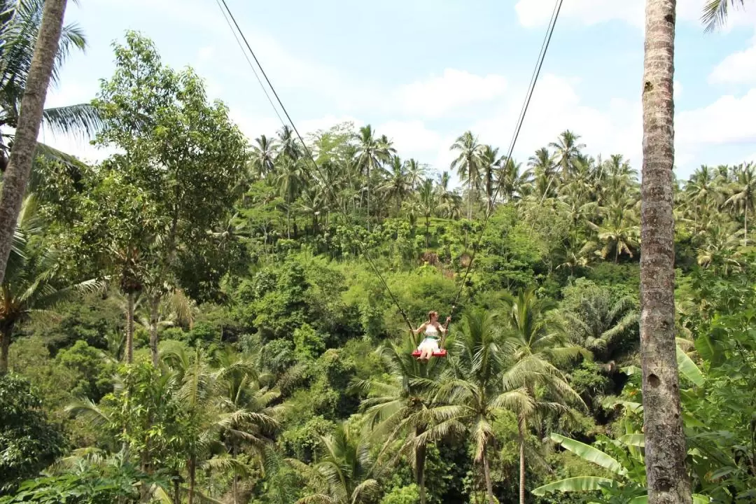 Central Bali Full Day Tour: Tegalalang Rice Field, Sacred Monkey Forest, Elephant Cave