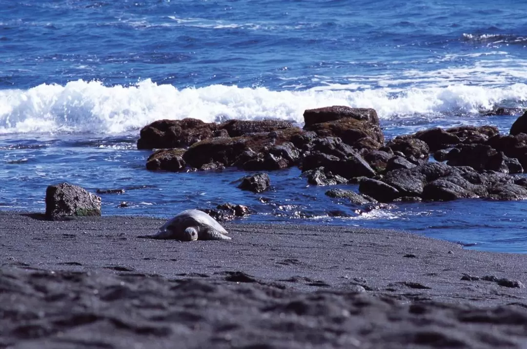 Volcanoes National Park Adventure Tour from Hilo