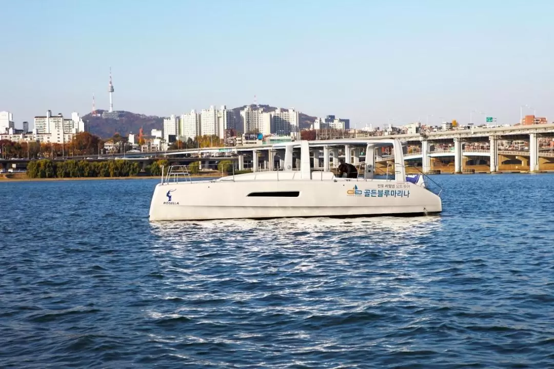 Seoul City Day Tour - Han River Yacht & COEX MALL