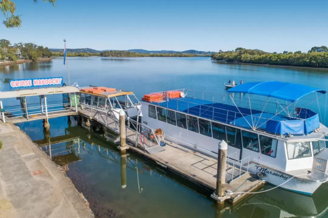 馬魯奇河（Maroochy River）生態遊船巡航之旅