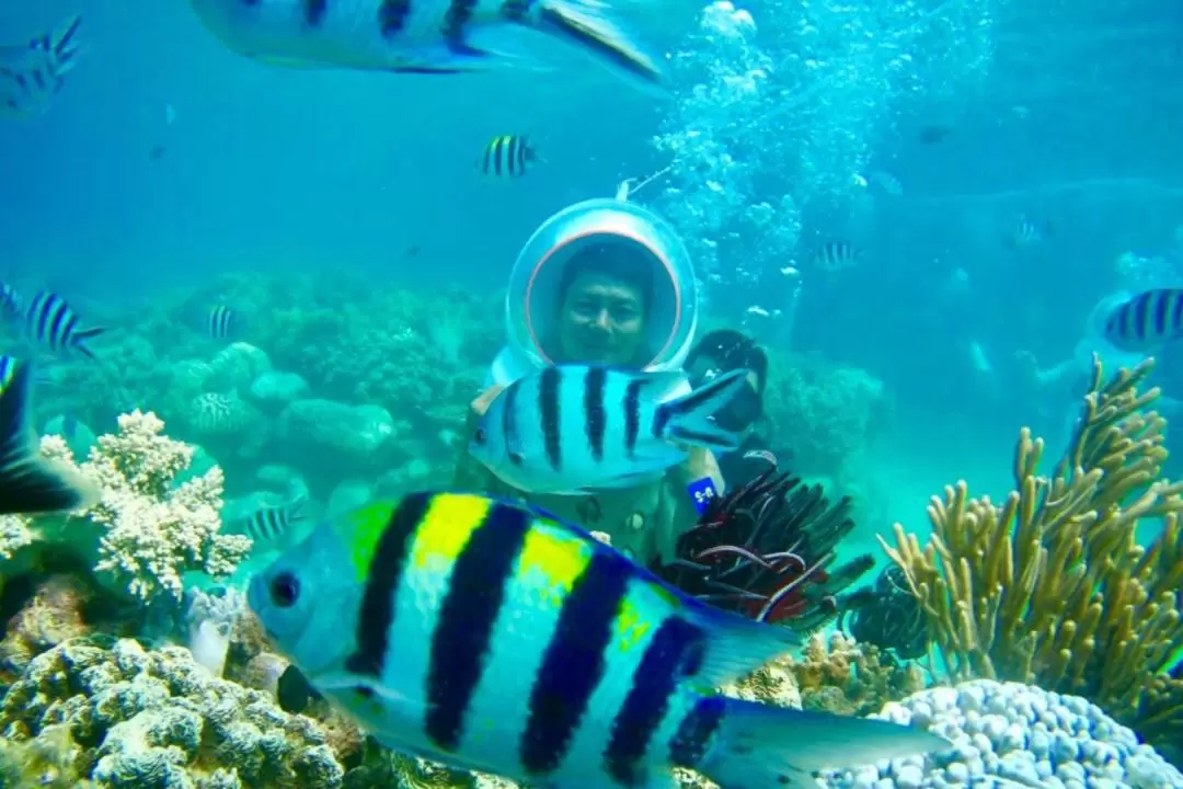 Tour to Visit Coral Beach and Tranh Beach by Speedboat with Sea Walking