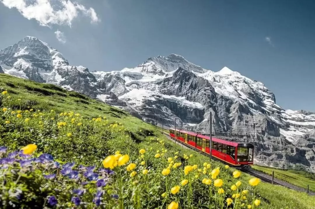 Jewels of the Alps with Jungfraujoch Multi-day Tour 