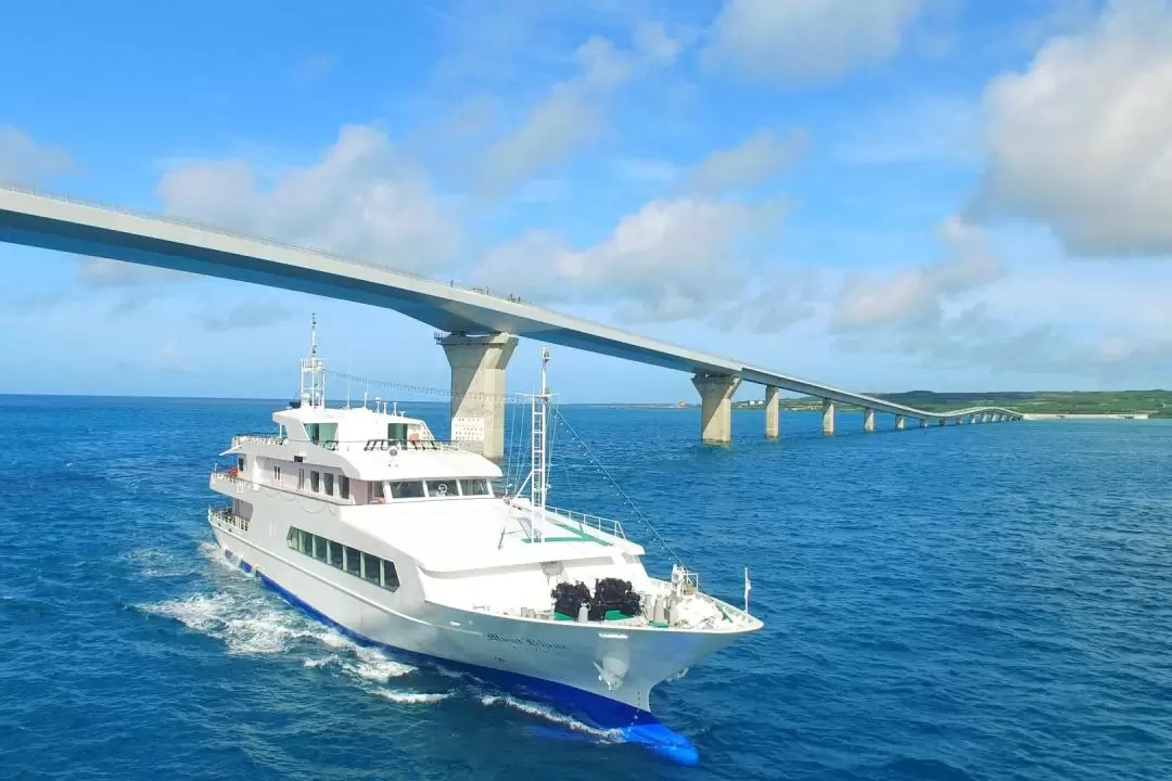 Buffet Cruise in Miyako Island