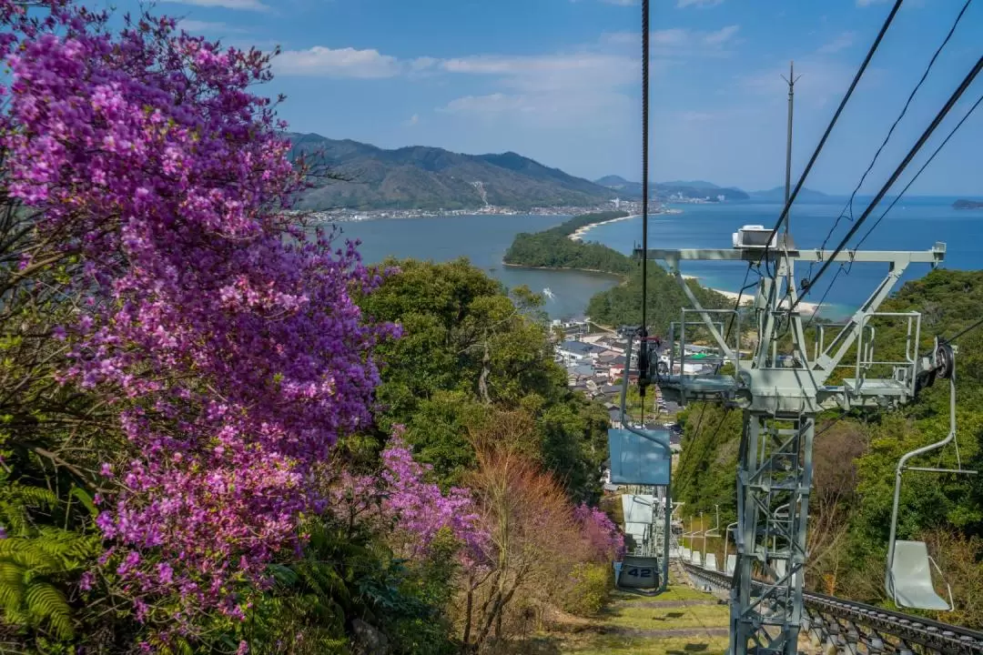 Miyama Thatched Village, Ine Bay & Amanohashidate Tour from Osaka