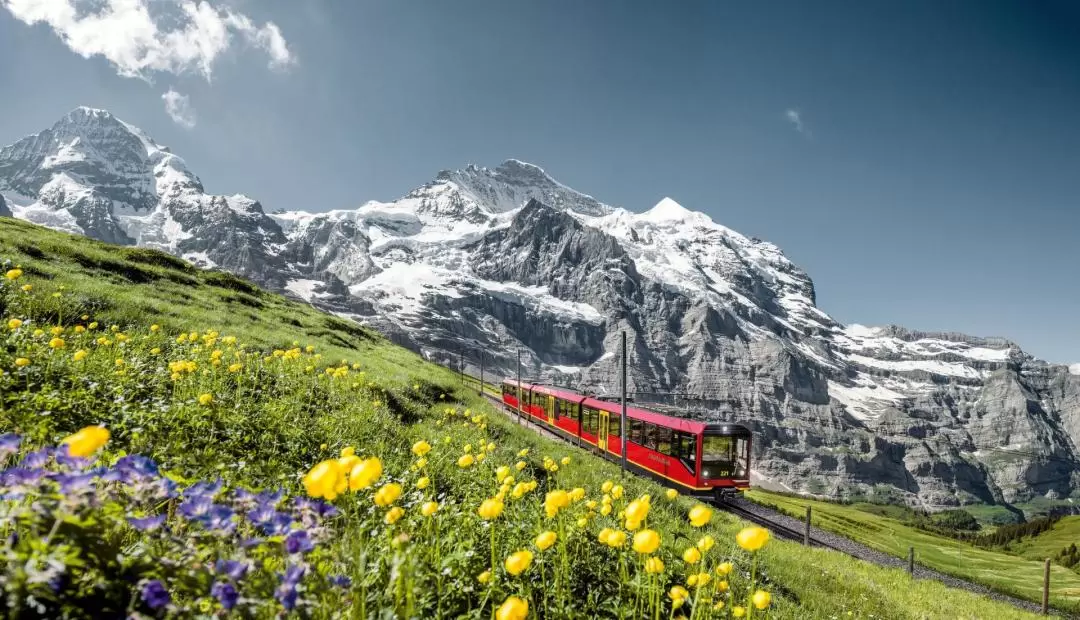 Jungfraujoch - Top of Europe Ticket from Interlaken