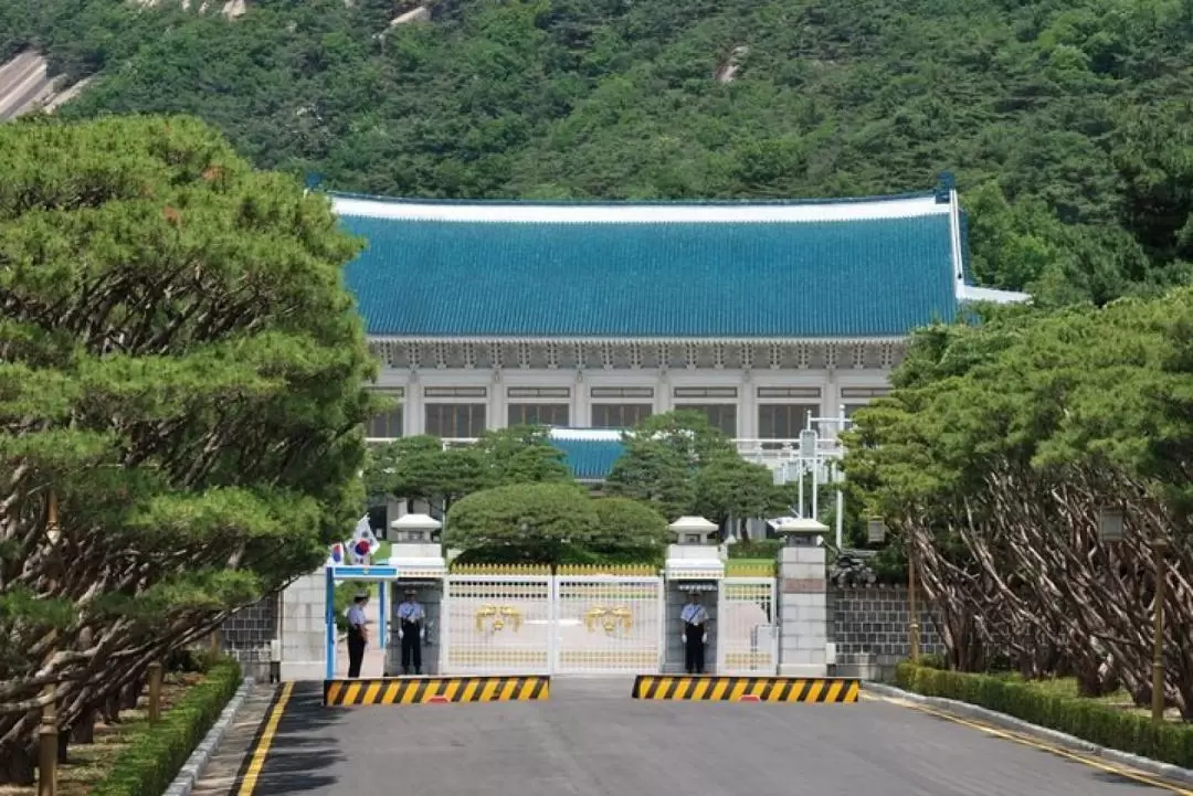 Cheongwadae Blue House + Gyeongbok Palace Walking Tour 