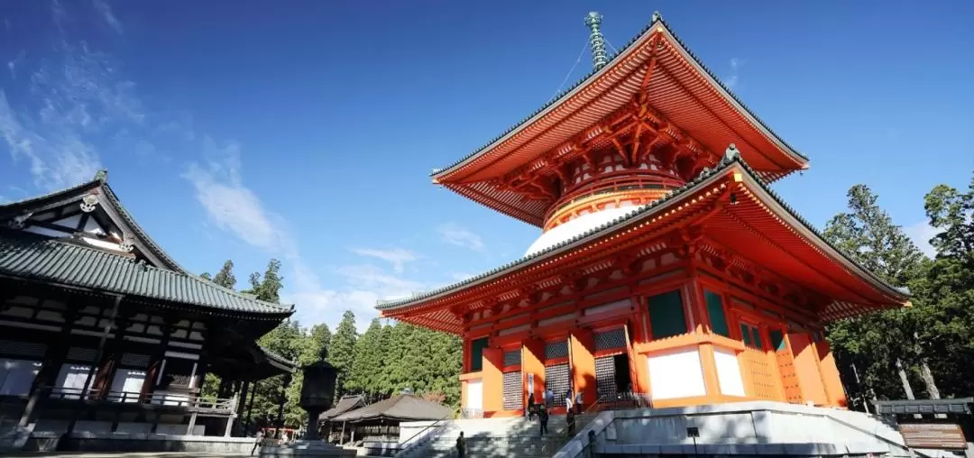 Wakayama & Koyasan Day Tour /2D1N Tour from Osaka