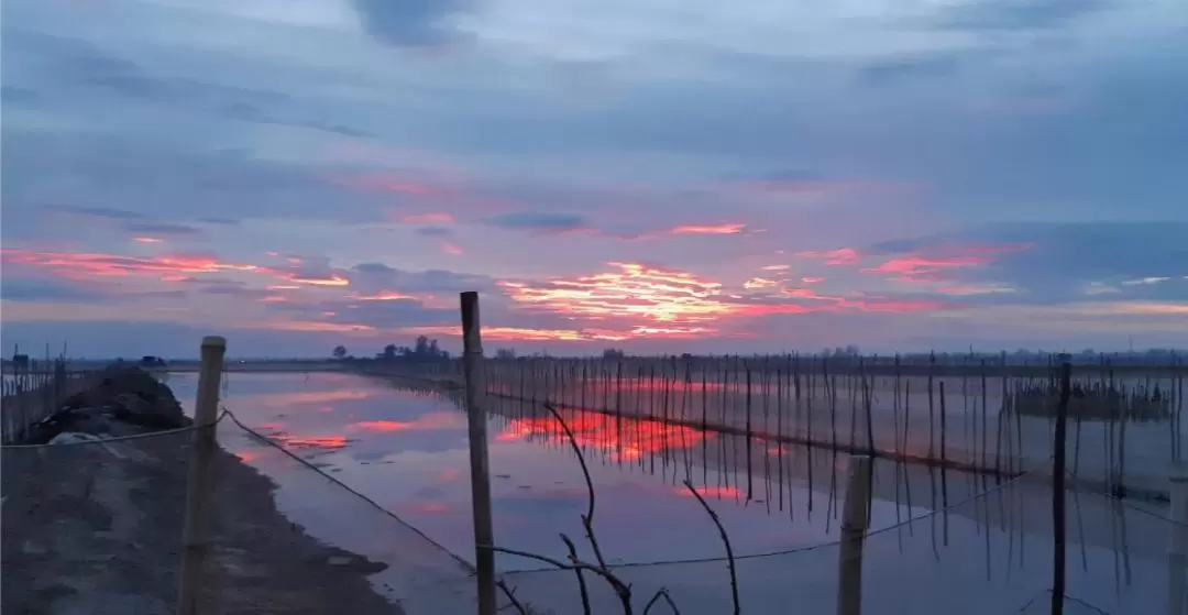 越南Tam Giang瀉湖日落之旅（含水上餐廳晚餐）