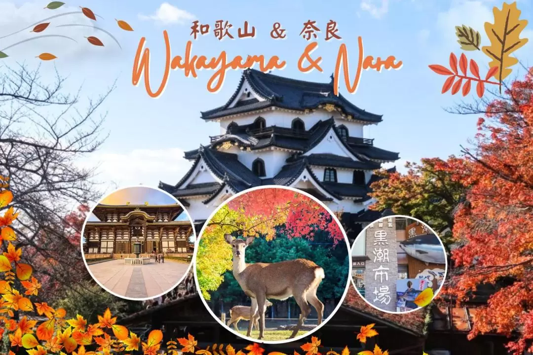 Nara, Todaiji Temple & Kuroshio Market One Day Tour from Osaka