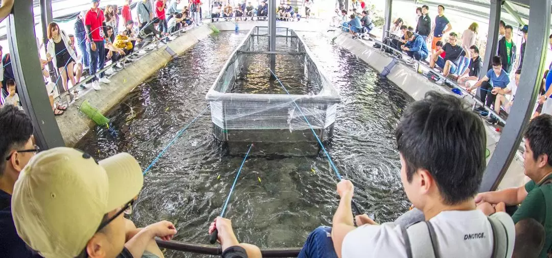 Shrimping Experience in Yilan by Lan Yang Crab