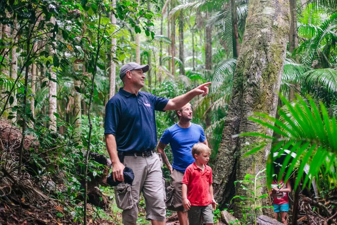 The Tastes of Tamborine Mountain Rainforest Tour