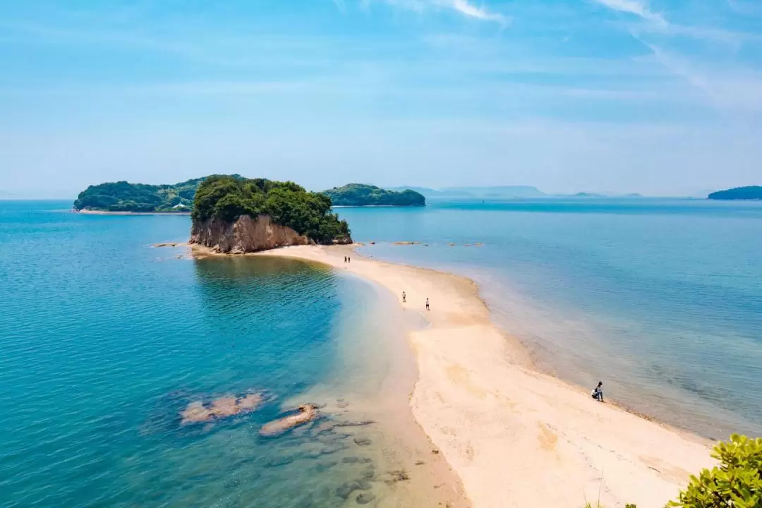 Takamatsu - Shodo Island Ferry Ticket