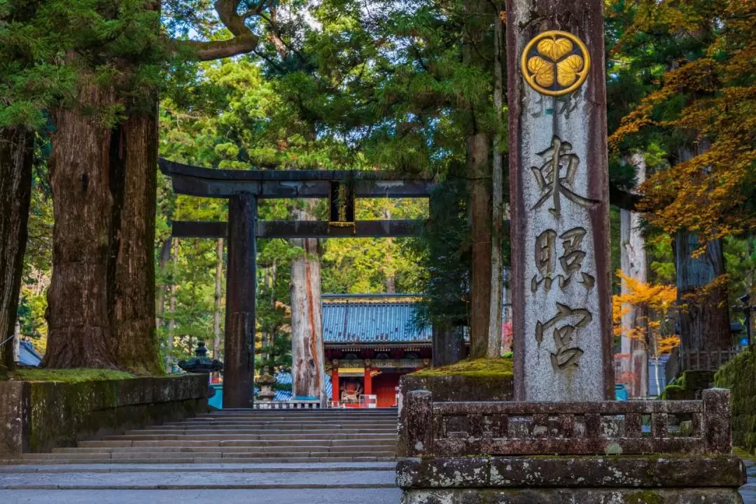 One-day tour around Nikko World Heritage Sites (from Tokyo)