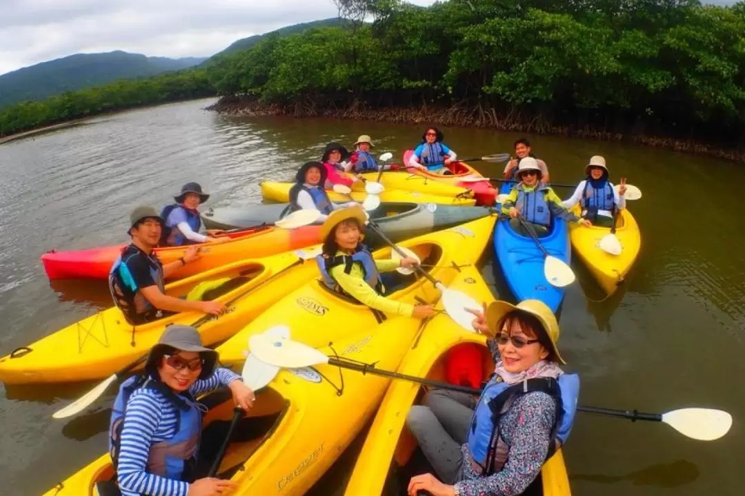 Canoeing and Trekking Experience in Iriomote Island