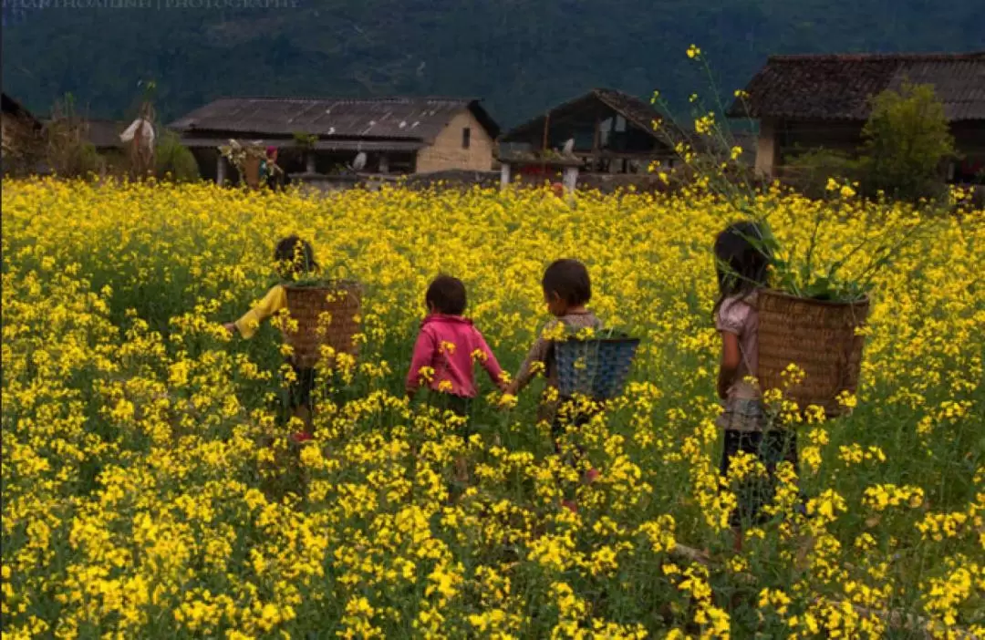 4D3N Explore Ha Giang Loop by Easy Rider from Ha Noi