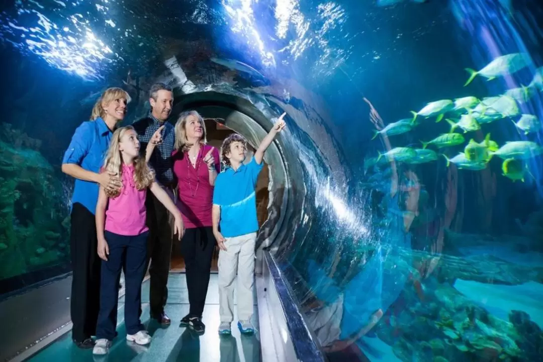 奧蘭多海洋生物水族館門票