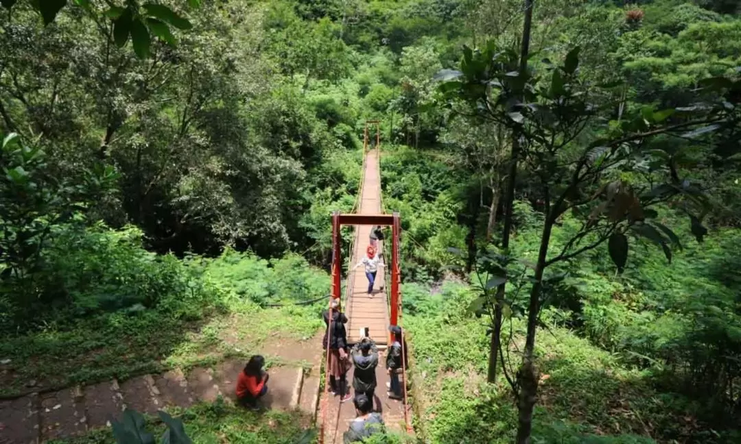 Sunrise Trekking Experience at Tebing Keraton and Taman Hutan Raya in Bandung