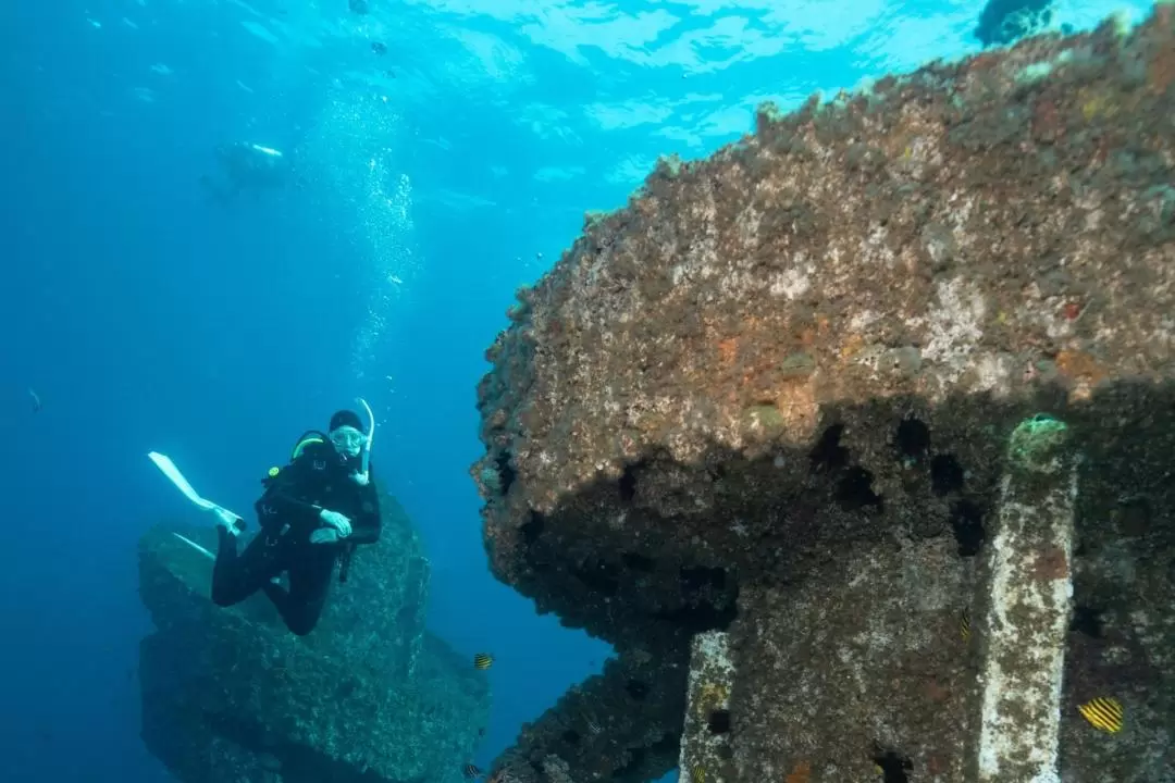 Wonder Reef Diving Experience in Gold Coast