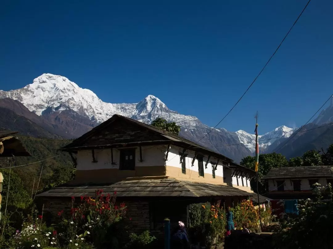 9D8N Annapurna Sanctuary Tour from Pokhara