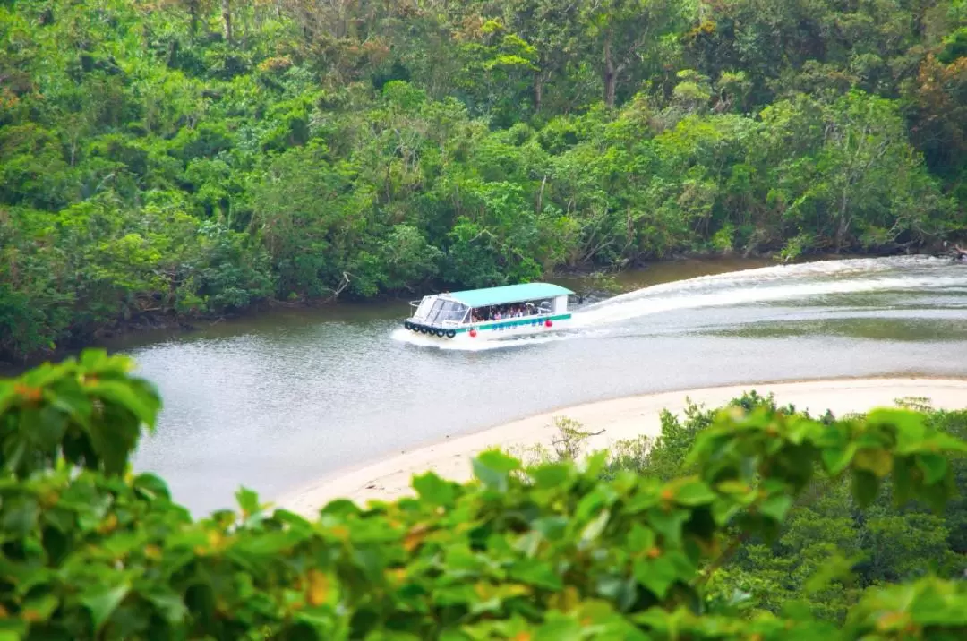 Iriomote, Yubu, and Taketomi Day Trip from Ishigaki Island in Okinawa(Free shuttle service)