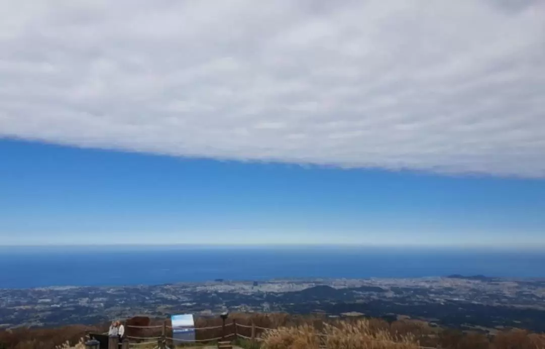 濟州島南部地區私人一日遊