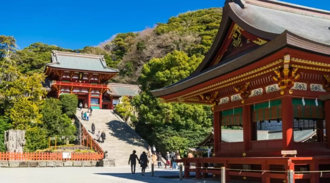 Kamakura and Enoshima Island Tour from Tokyo with a Chinese-speaking Guide