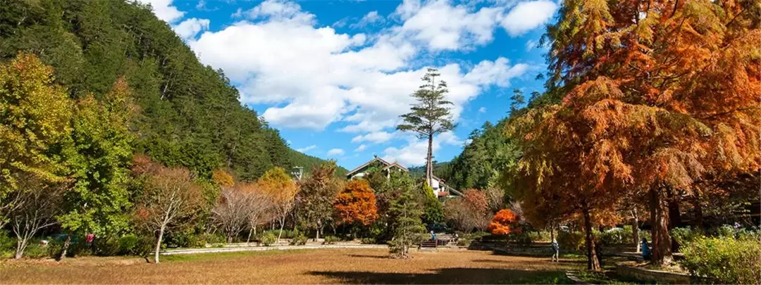 Dongshih Forest Garden and Annie's Garden Day Tour in Taichung