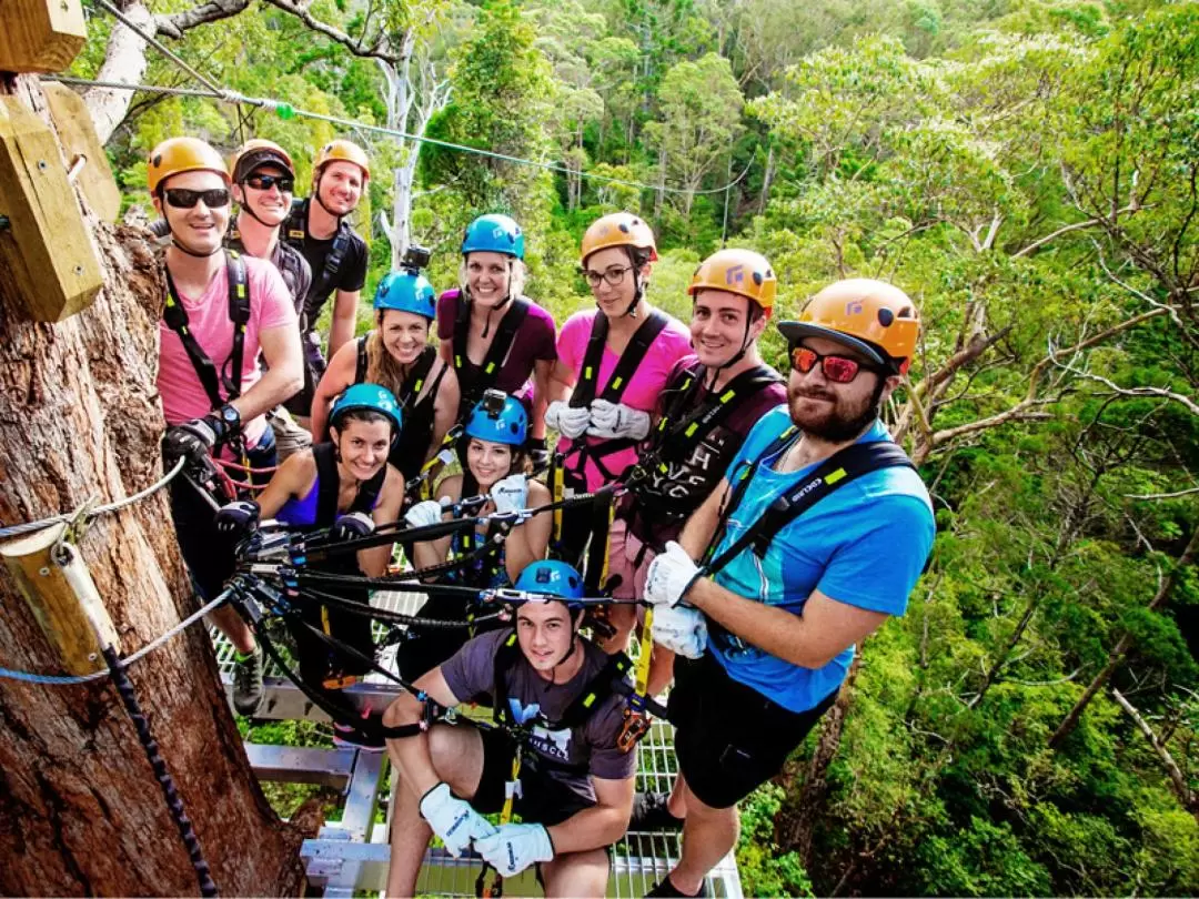 Canyon Flyer Zipline Tour in Tamborine Mountain from Gold Coast