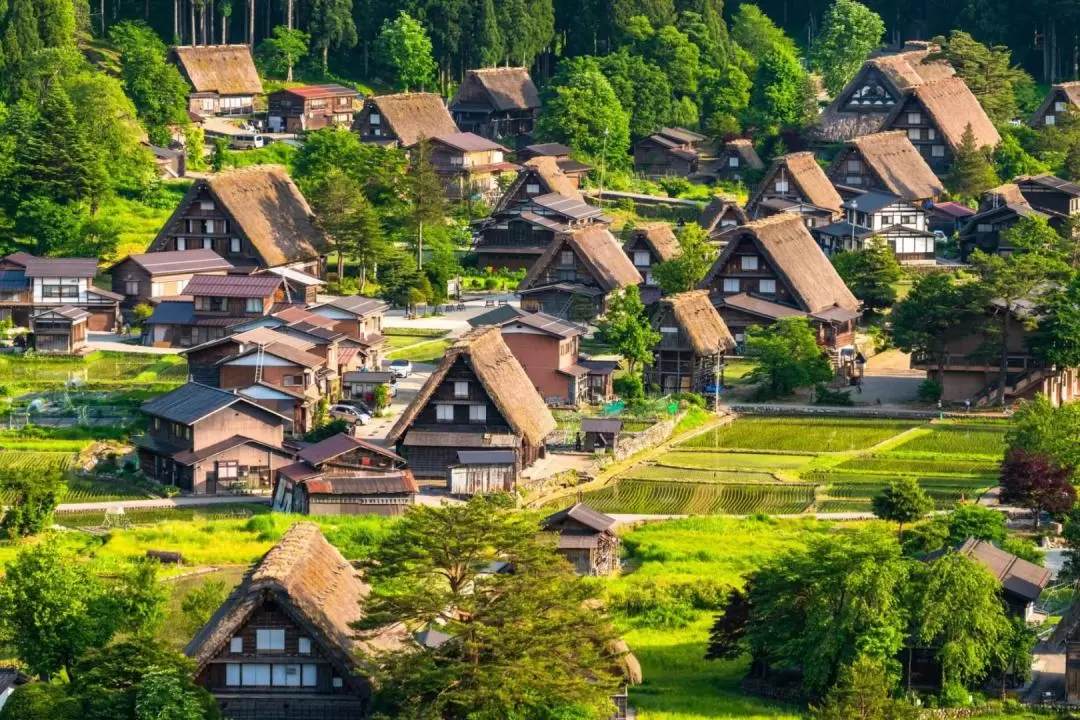 2D1N World Heritage Shirakawago & Kamikochi Tour from Tokyo