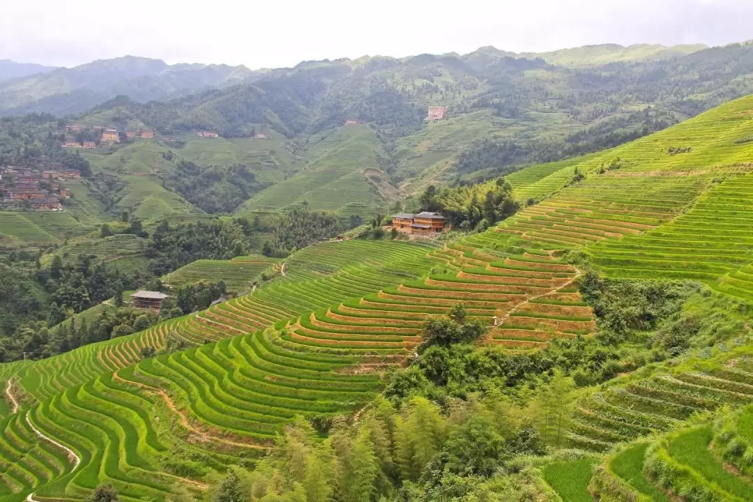 龍脊梯田＆少數民族聚落之旅（含桂林／陽朔接送）