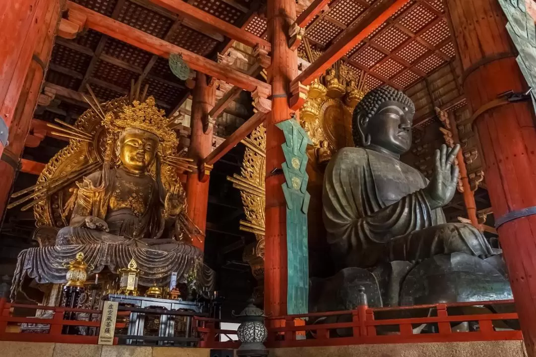 東大寺 & 奈良公園 & 春日大社半日遊（大阪出發）