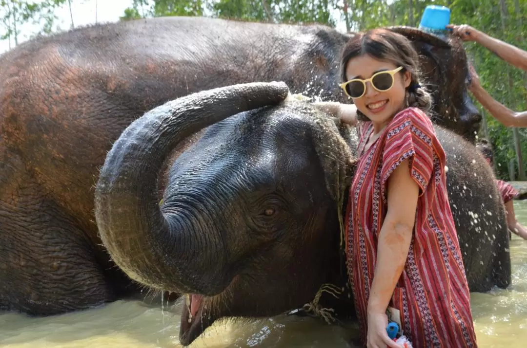 Elephant Care Park Experience in Phuket