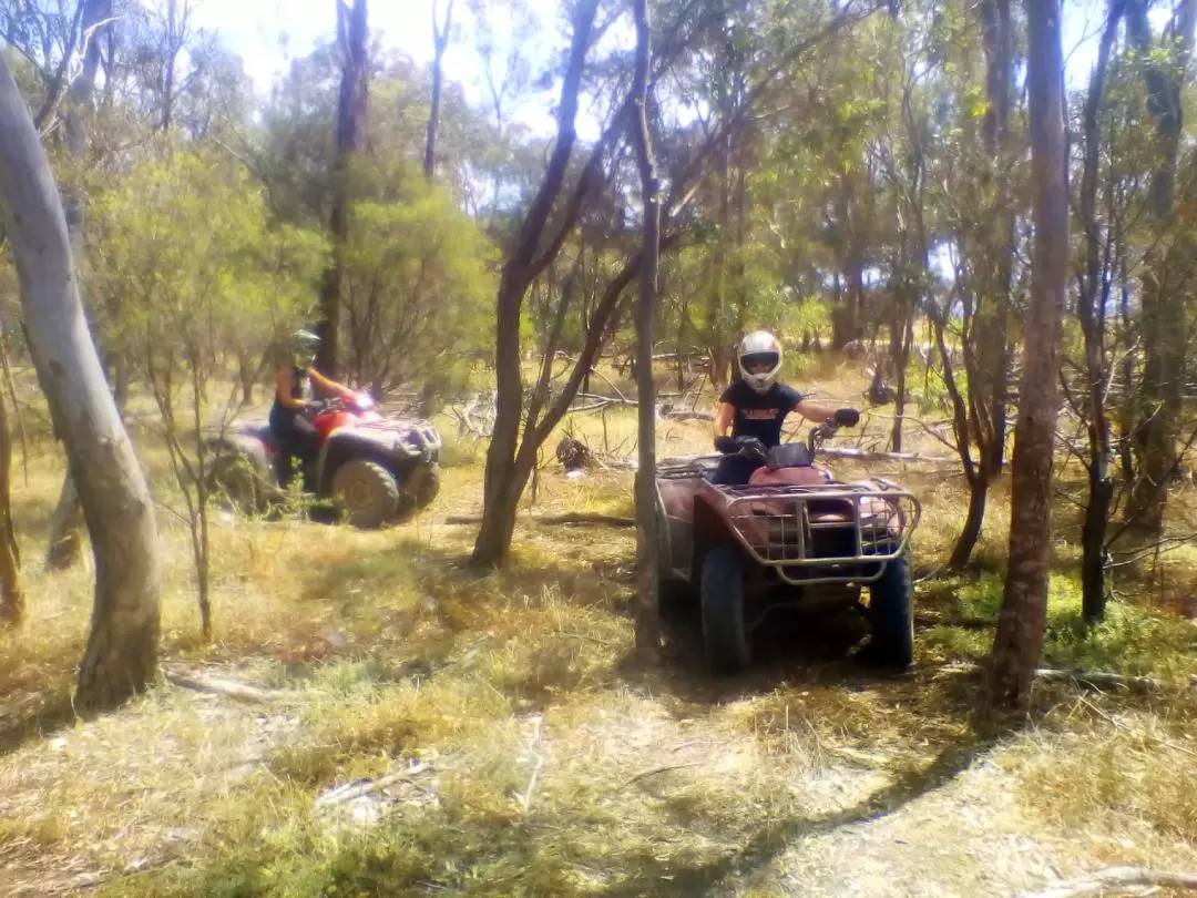 Quad Bike Adventure Tour from Melbourne