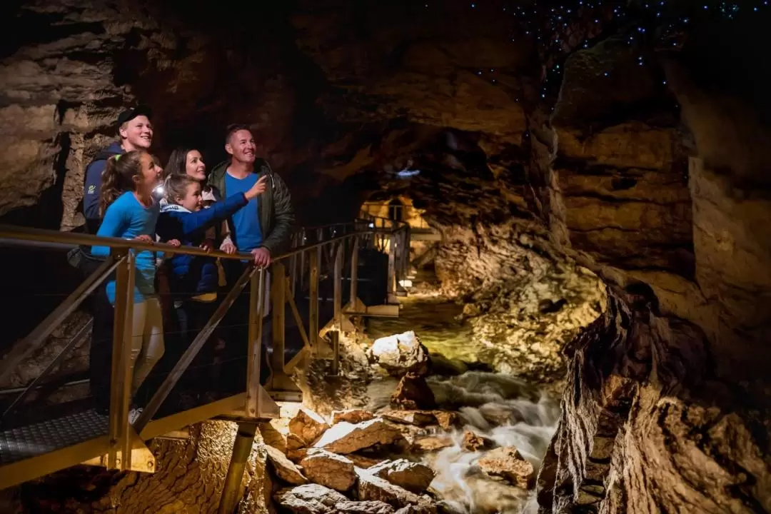 Te Anau Glowworm Cave Tour