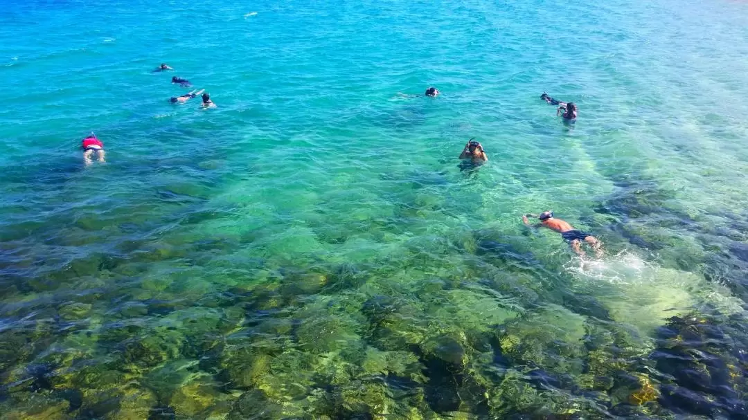 黃金海岸獨木舟＆浮潛之旅