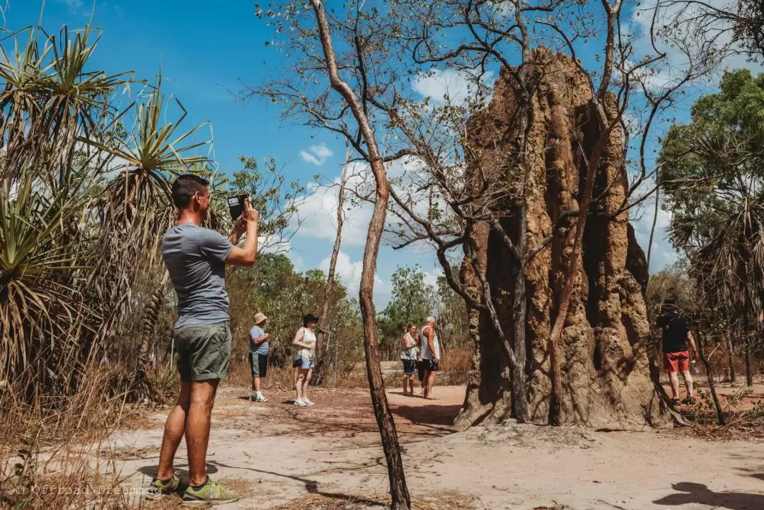 李治菲特國家公園（Litchfield National Park）一日遊