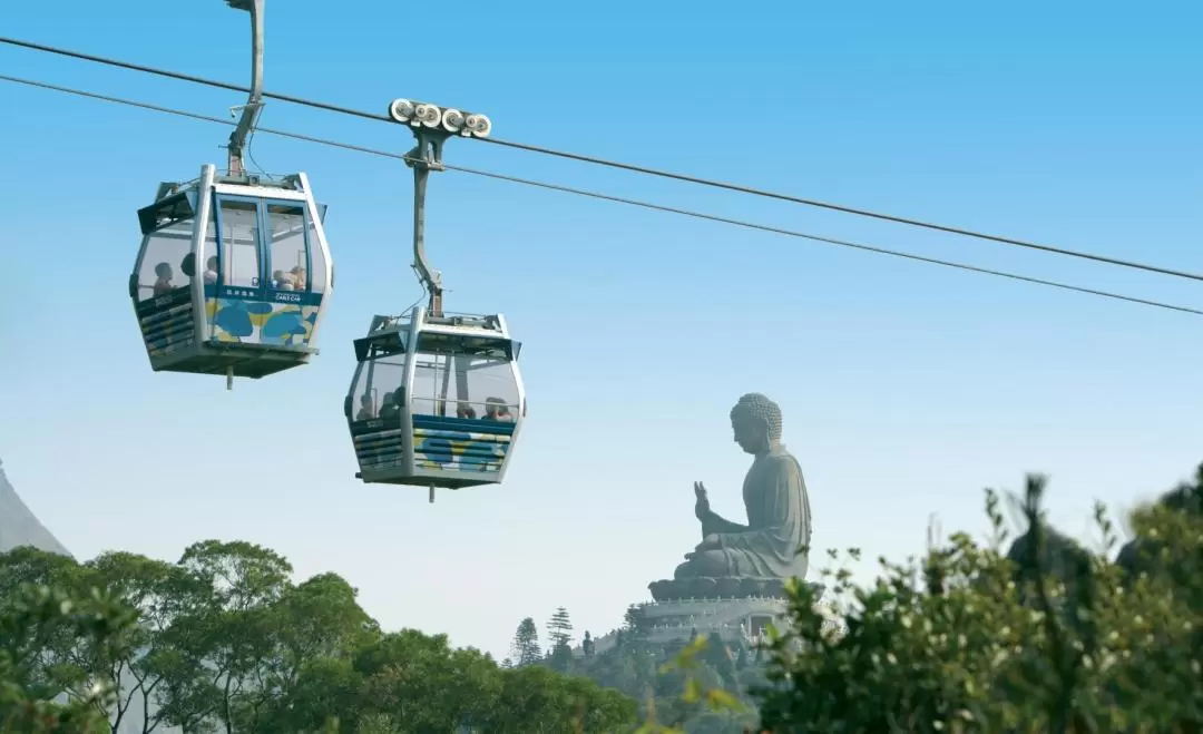 大嶼山探索之旅 (包來回昂坪360纜車, 寶蓮禪寺享用齋菜)