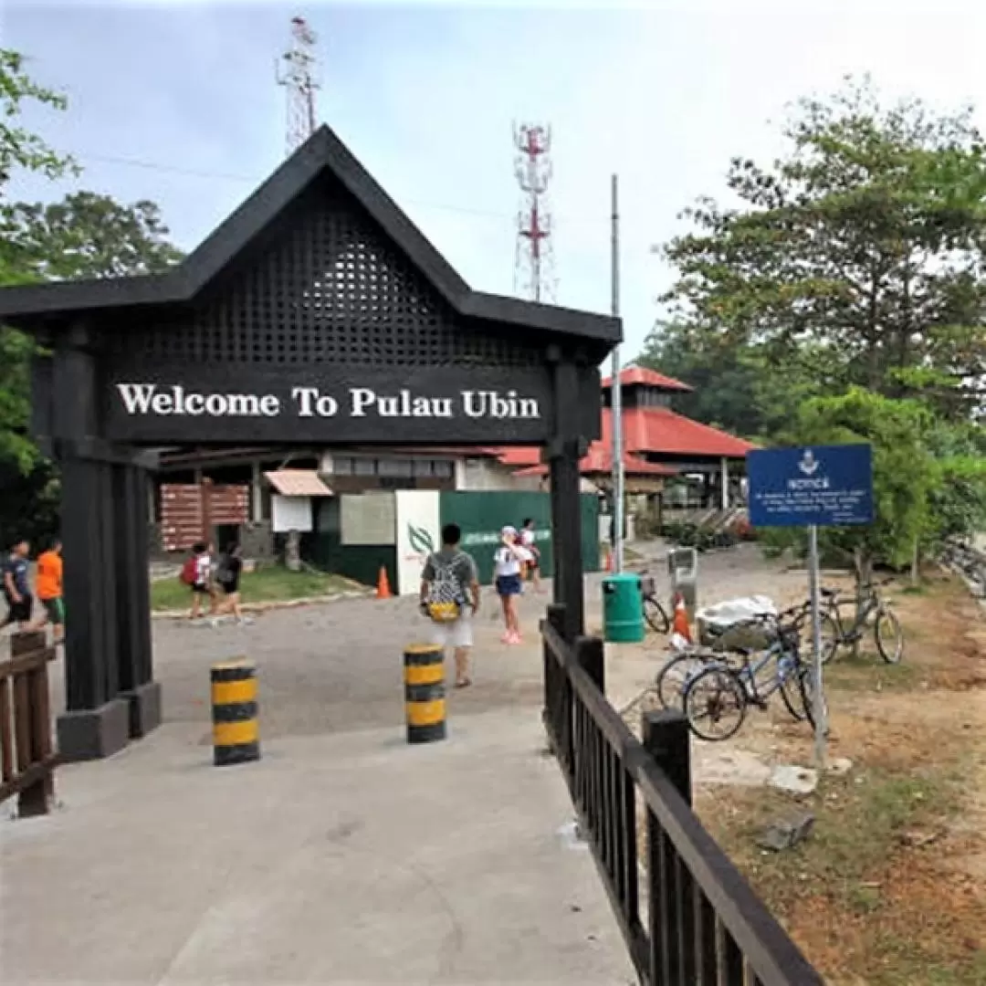 Rustic Ubin and Wetlands Tour in Pulau Ubin and Chek Jawa