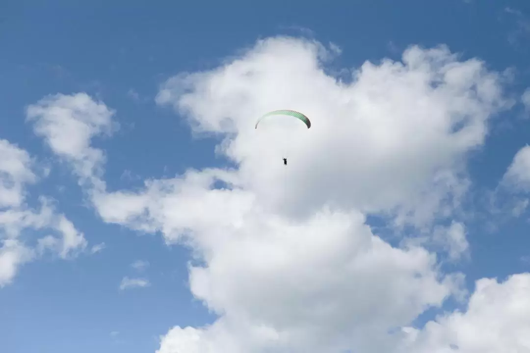 Cairns Skydive Experience