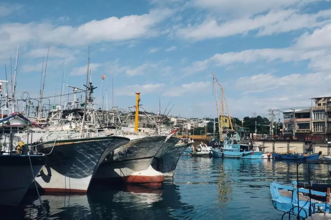 Heping Island and Zhengbin Fishing Port Walking Tour in Keelung