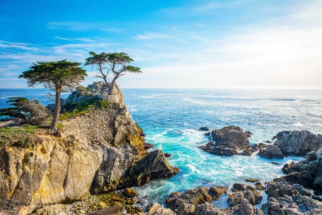 Monterey, Carmel and the 17-Mile Drive Day Tour from San Francisco