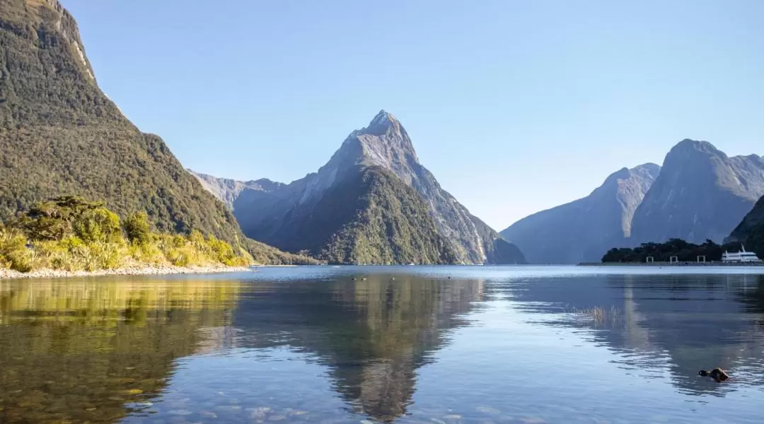 Small Group Iconic Milford Sound Tour from Queenstown