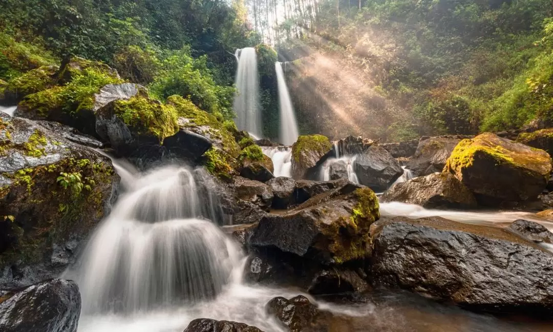 Secret Garden Bali And Ulun Danu Temple Tour in Bali