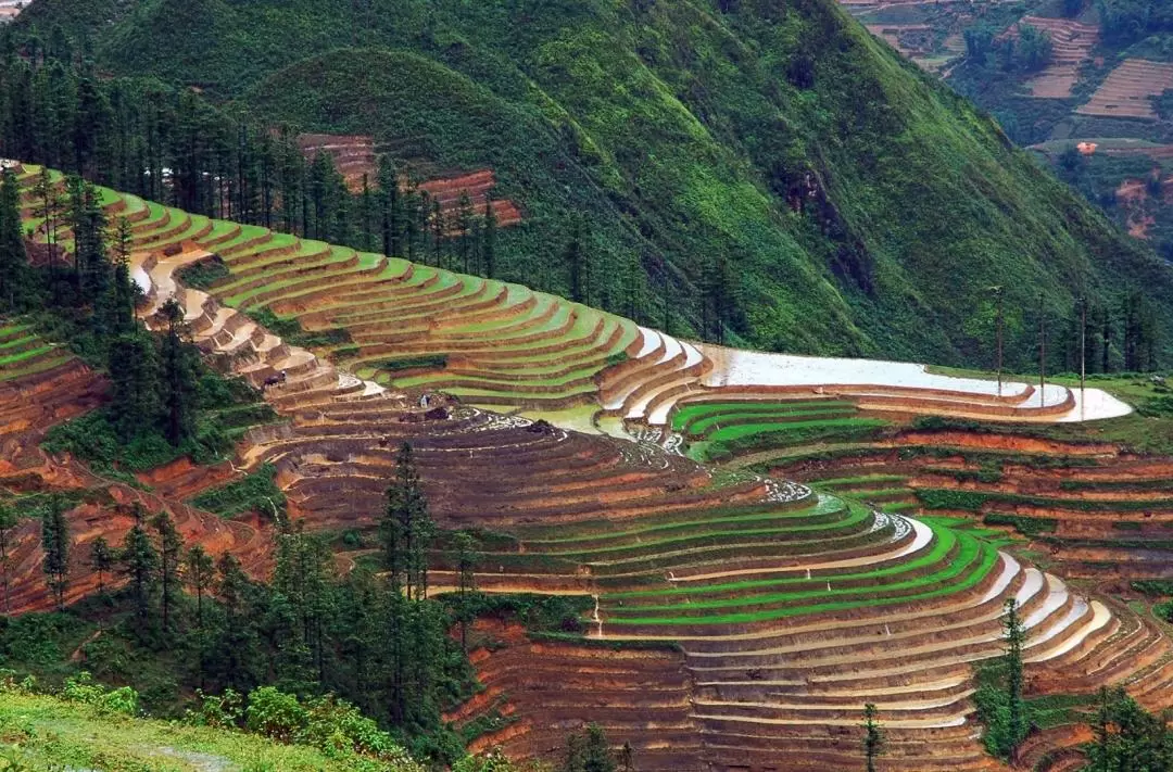 2D1N Sapa Trekking Tour by Bus from Hanoi