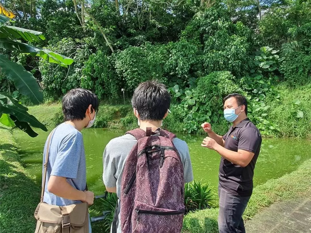 Agriculture and Fish Farming Sustainability Tour at Jalan Lekar