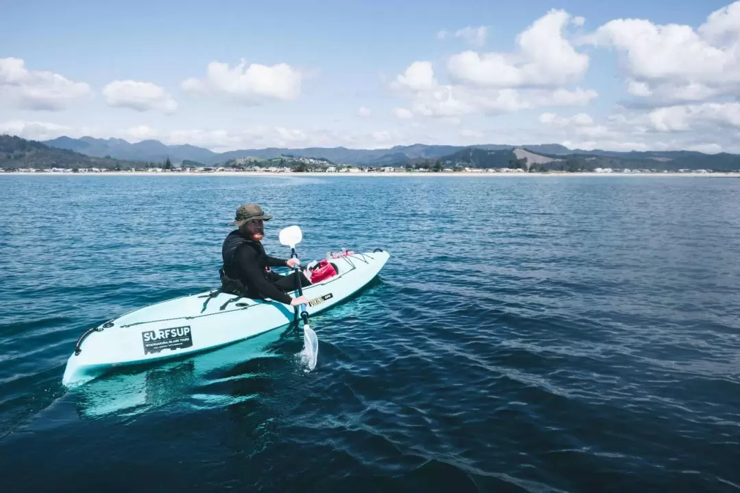 Whenuakura Island (Donut Island) Kayaking Tour from Hamilton