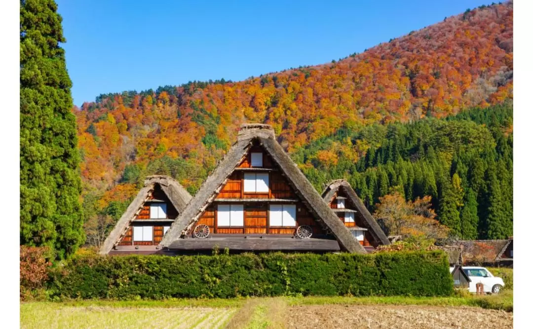 Shirakawago & Takayama Private Day Tour from Nagoya